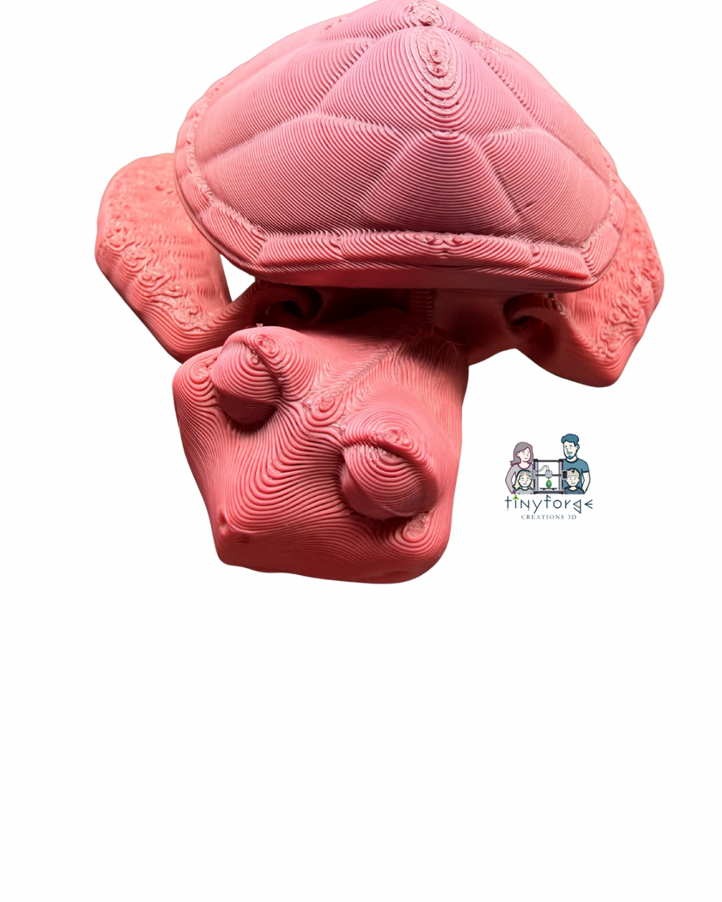 Articulated Baby Sea Turtle – 3D Printed Fidget Friend
