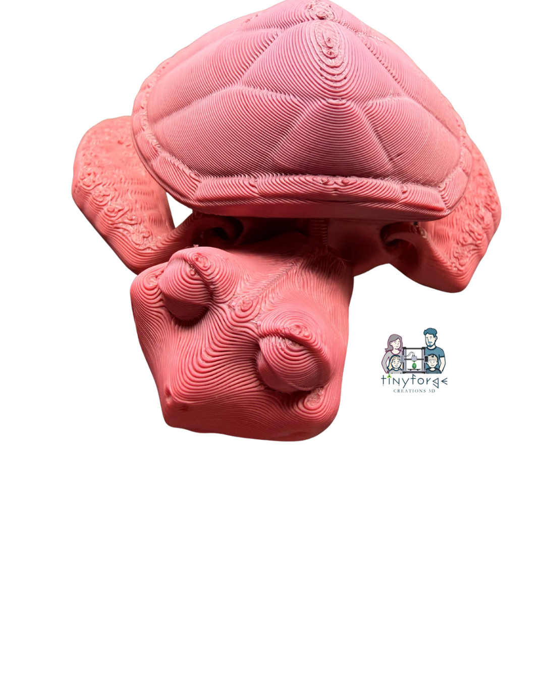 Articulated Baby Sea Turtle – 3D Printed Fidget Friend